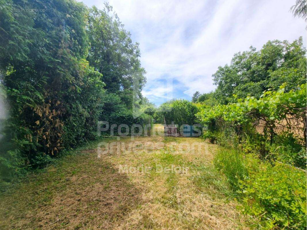 Maison à MESVES-SUR-LOIRE