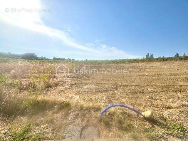 Terrain à ROUTIER