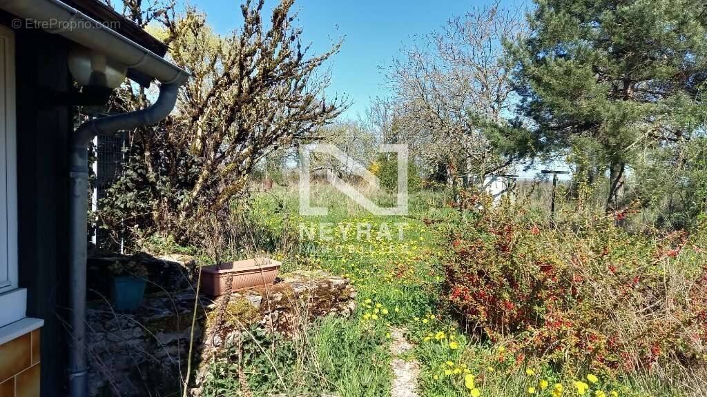 Petite maison en pleine nature - photo 4