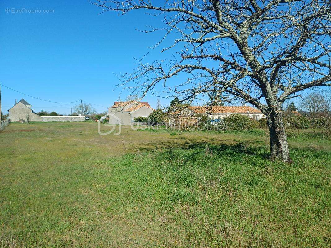 Terrain à THURE