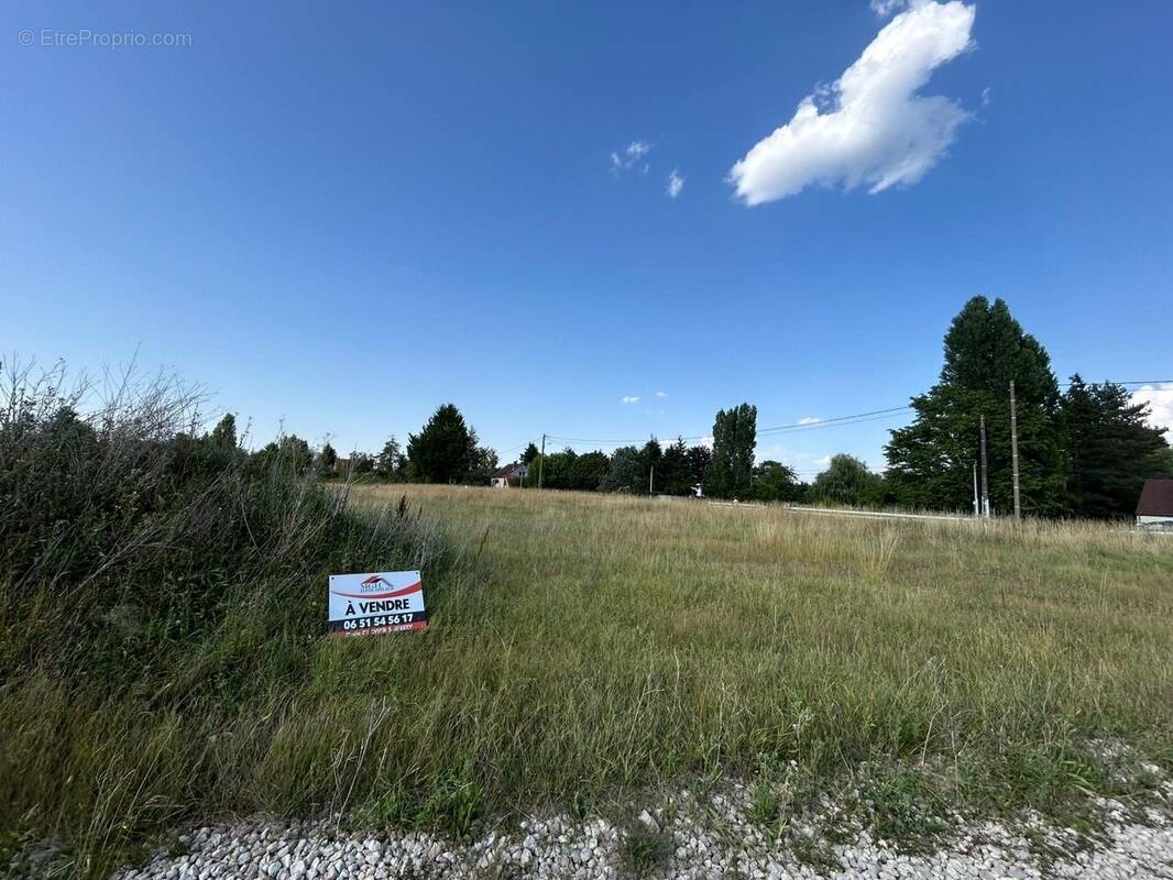 Terrain à LA COUR-MARIGNY