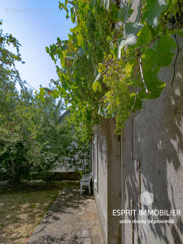 Riec Sur Belon : maison en pierre, 4 chambres, proche bourg, vie de plain pied - photo 16
