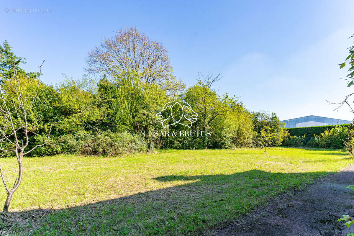 Terrain à SAINTE-FOY-LES-LYON