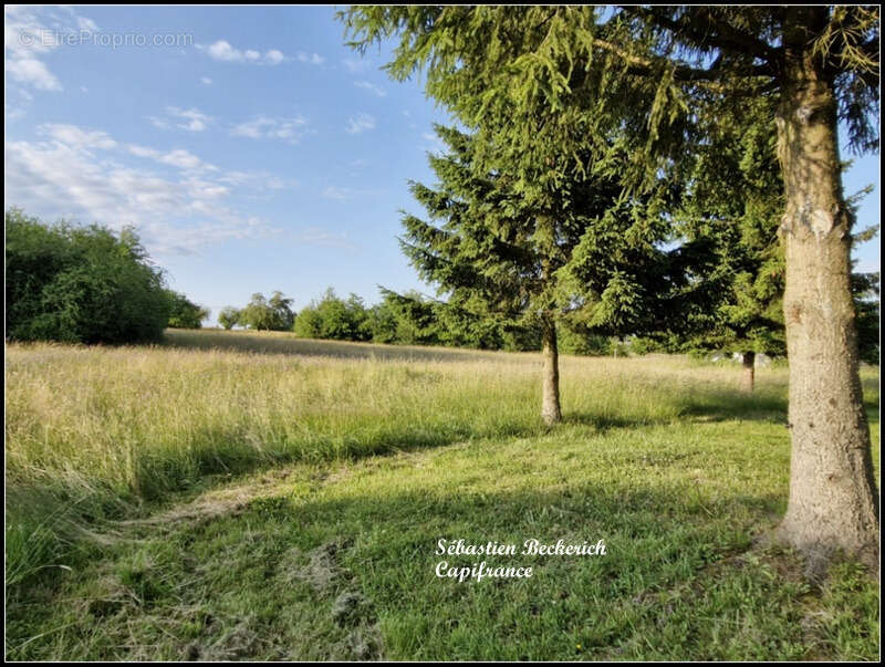 Maison à vendre 6 pièces SARRALBE (57) 149m² - photo 13
