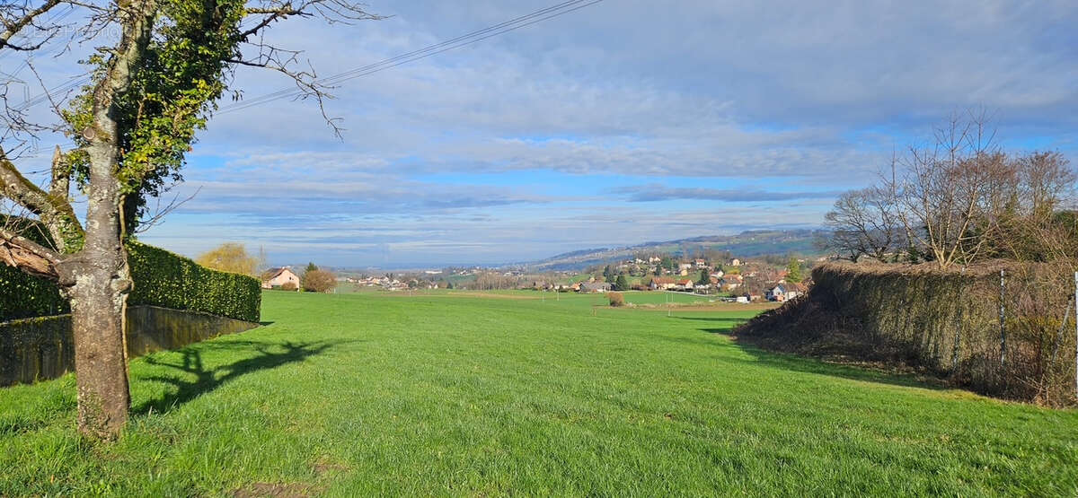 Terrain à DOMESSIN