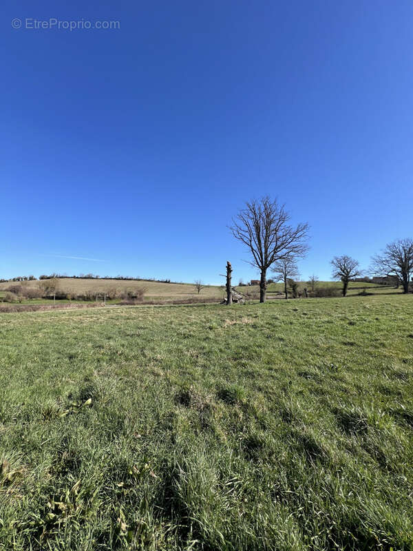 Exploitation céréalière de 170ha dans l'Allier (03) - photo 23