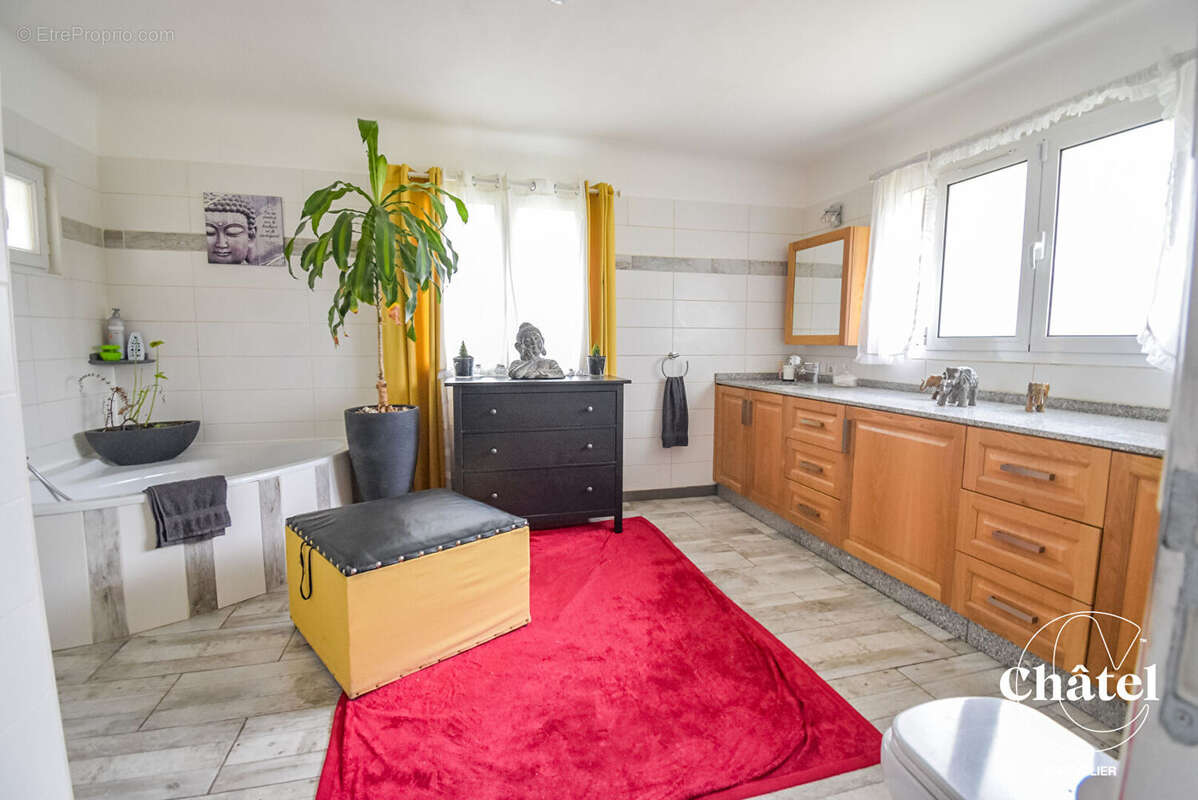 Maison à ROISSY-EN-FRANCE