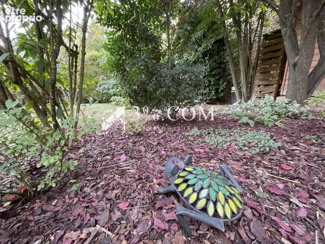 3%.com - exclusivité à griesheim-sur-souffel, maison de 7 pi - photo 6
