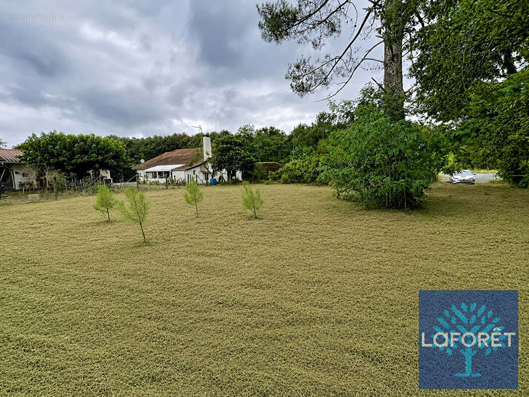 Terrain Saugnac et Cambran 847 m² - photo 3
