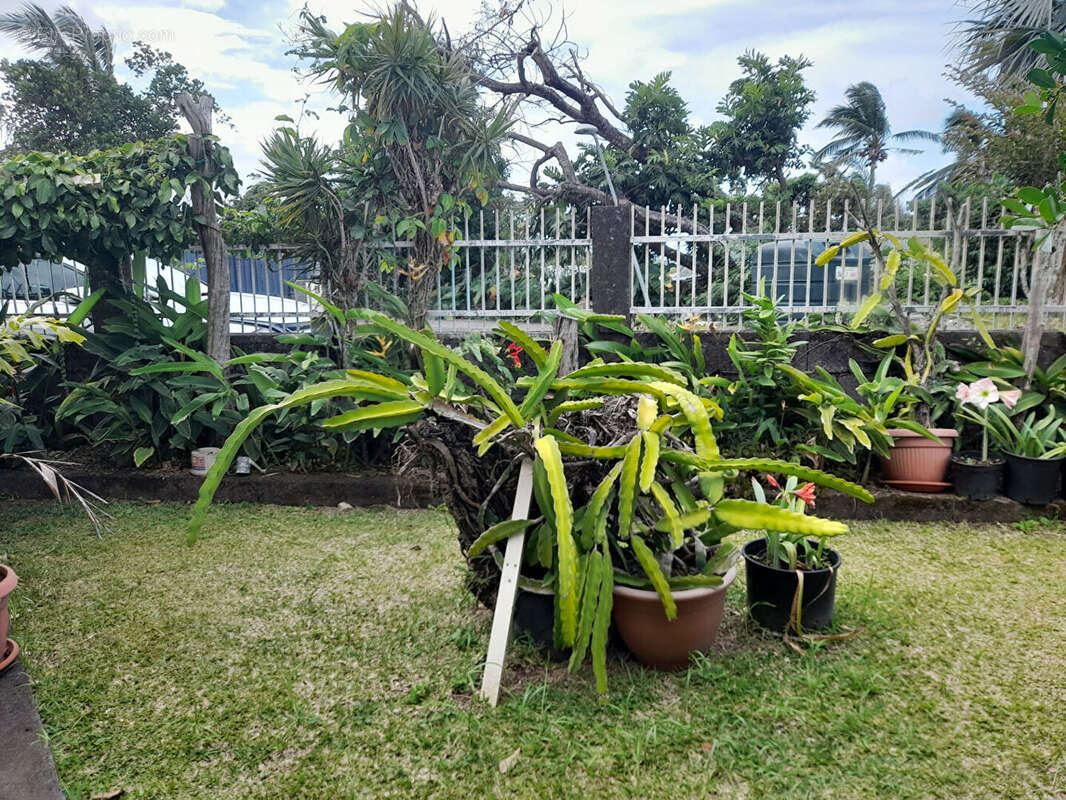 Maison à SAINTE-SUZANNE