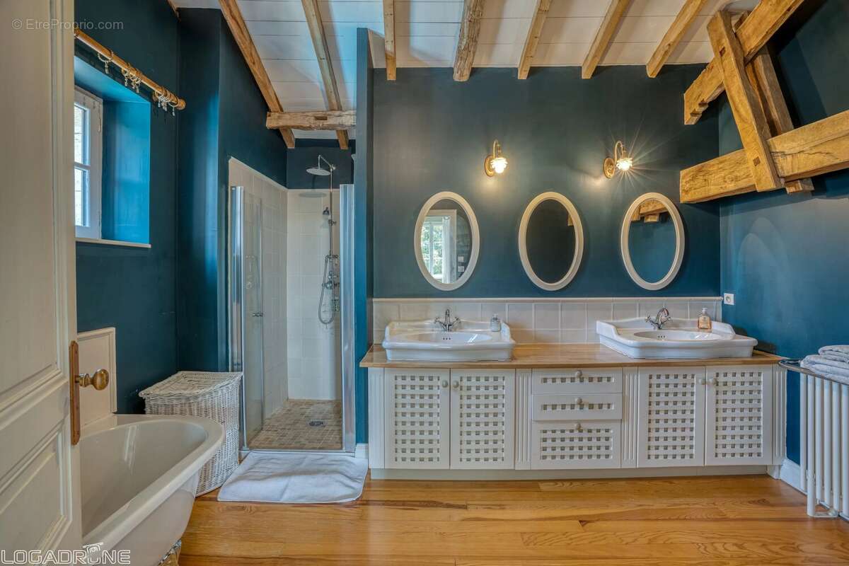 Élégante Maison de Maître du XIXème siècle, avec annexe, piscine et parc arboré - photo 9