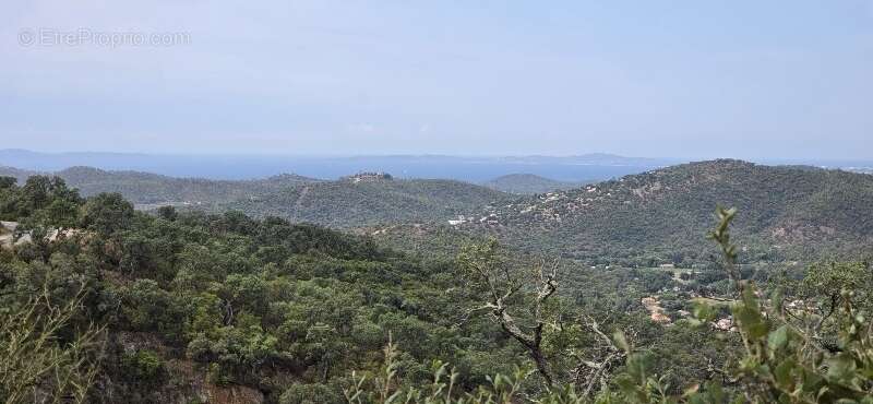 Terrain à BORMES-LES-MIMOSAS