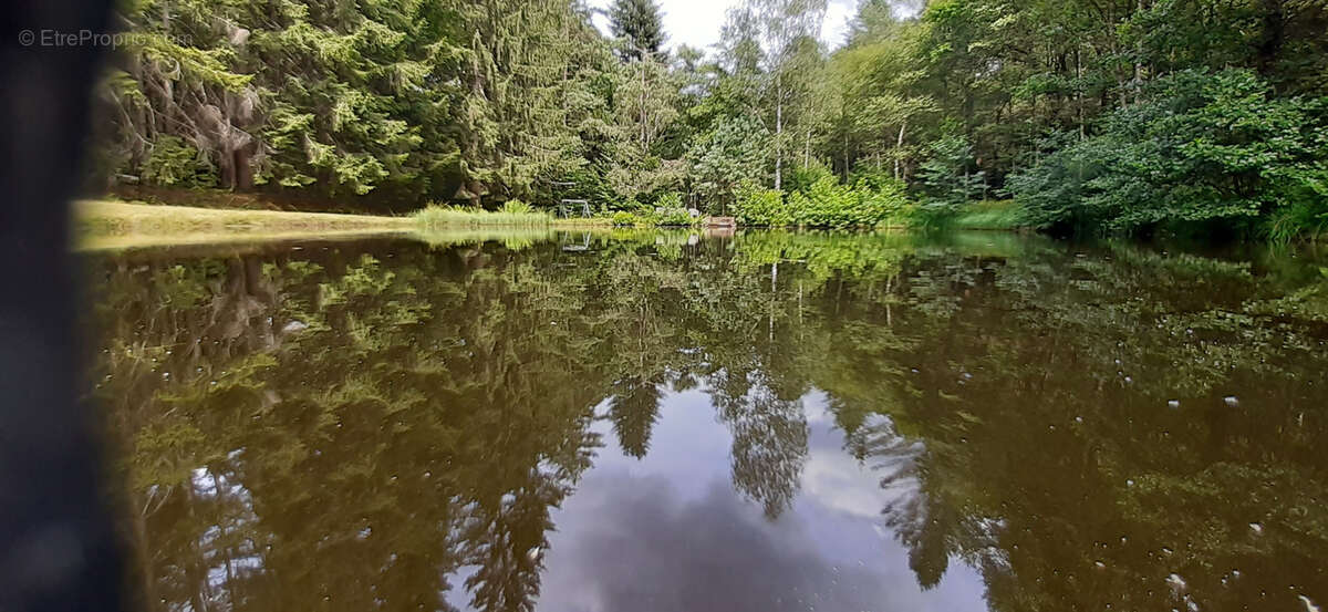 Etang vidangeable sur 0.70 ha avec Maisonnette - photo 5