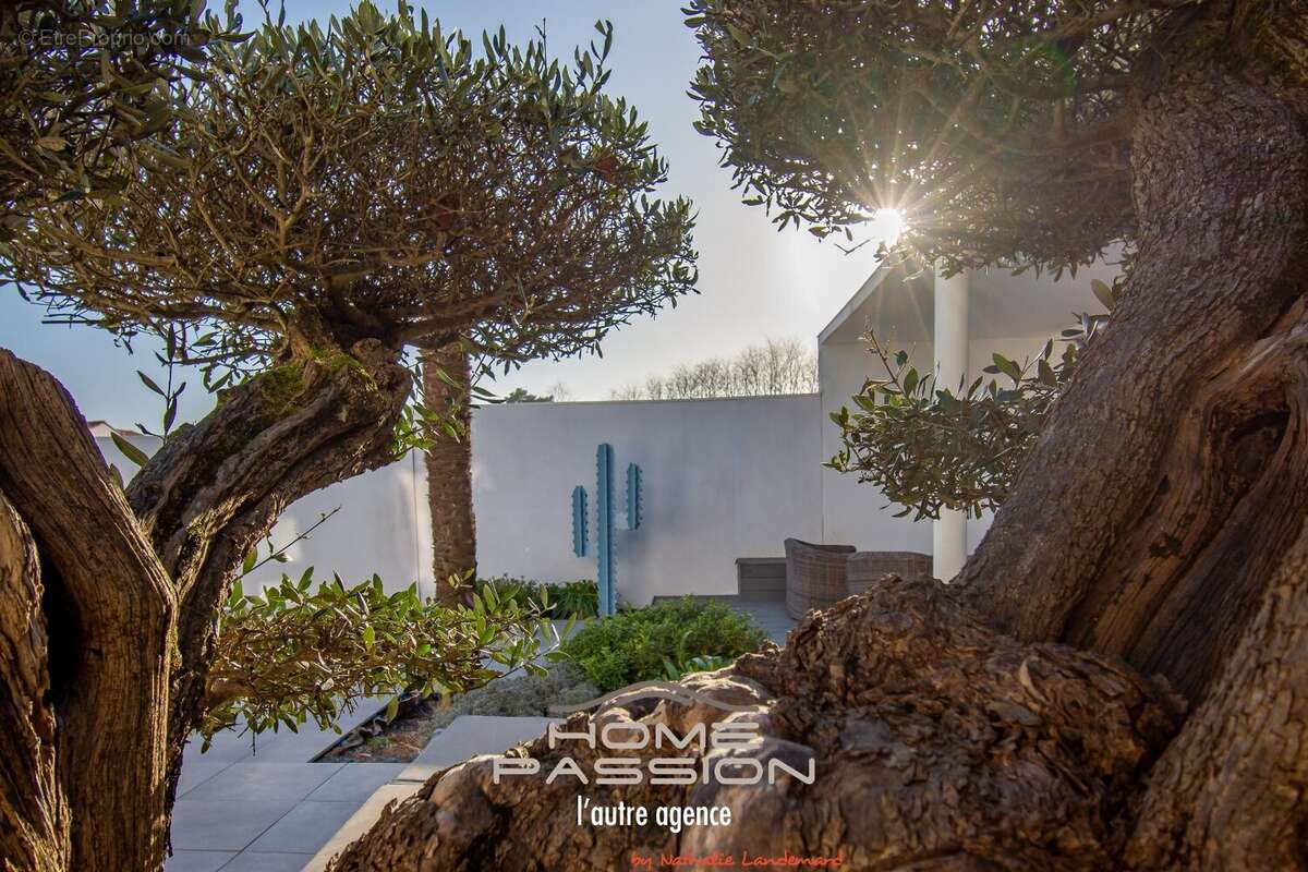 Maison à SAINT-PALAIS-SUR-MER