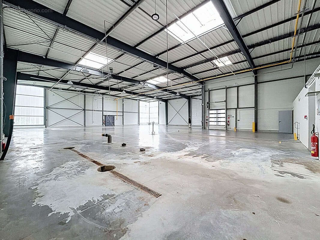 Commerce à BRISSAC-QUINCE