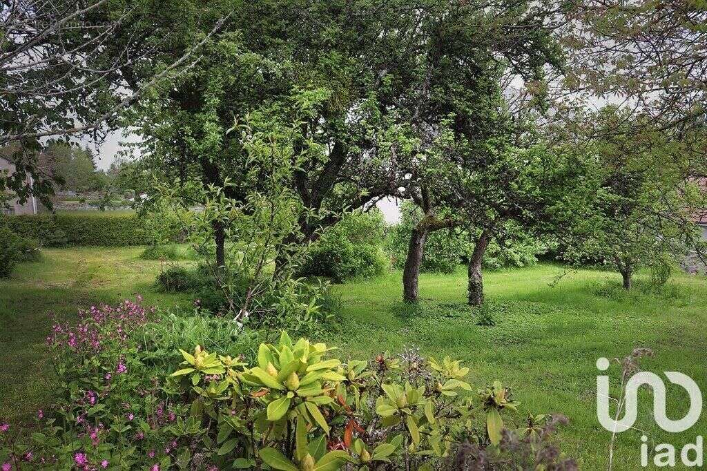 Photo 6 - Maison à MERINCHAL