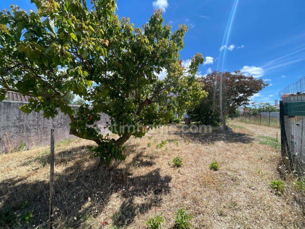 Propriété de 1300 m² – Potentiel de Division – Cœur de Village- rare -opportunité - photo 21