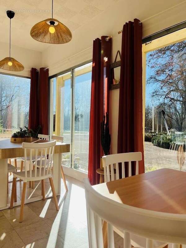 Commerce 405 m² à Mesves-Sur-Loire  - photo 3