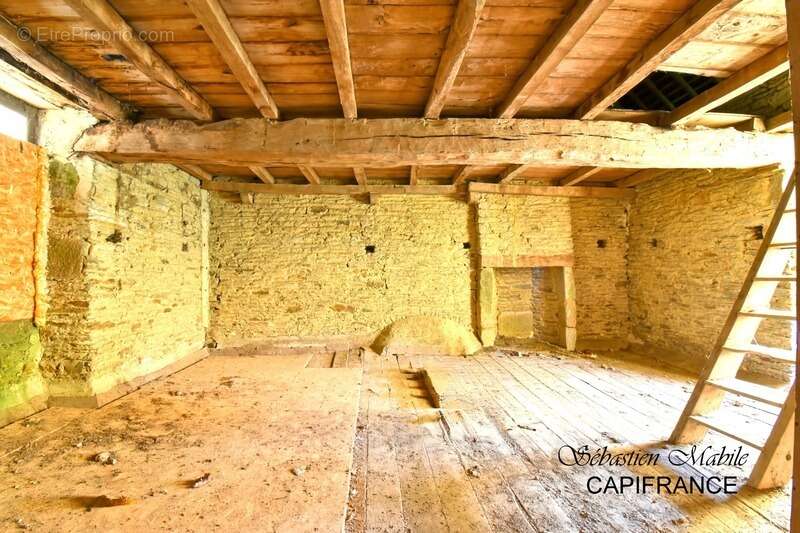 Maison rénovée + ancienne maison + (granges, écurie, étable)  LES PAS-PONTORSON (50) en Baie du Mont Saint Michel - photo 31