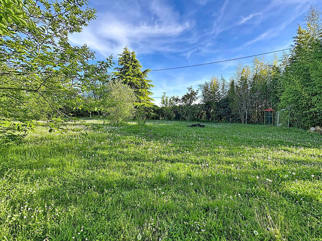 Terrain plat à vendre MONTLAUR 801 m2 - photo 2