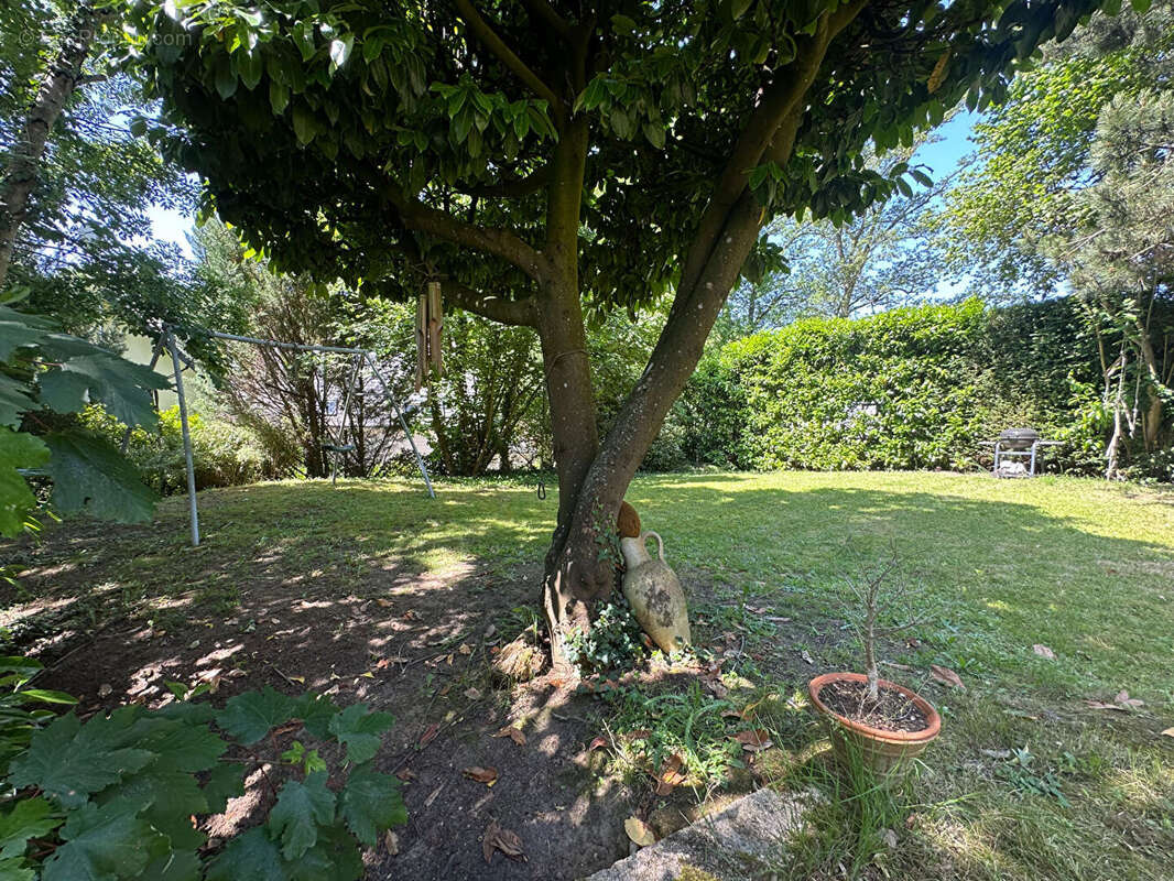 Maison 221m² à verrières-le-buisson - photo 16