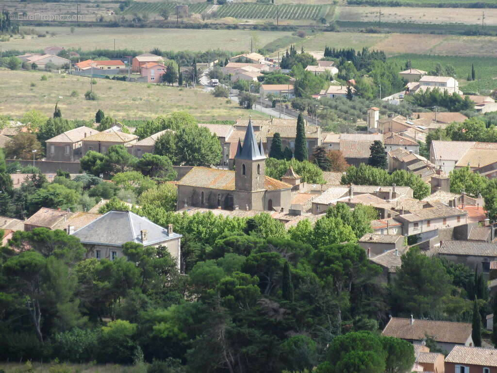 Terrain à PORTEL-DES-CORBIERES
