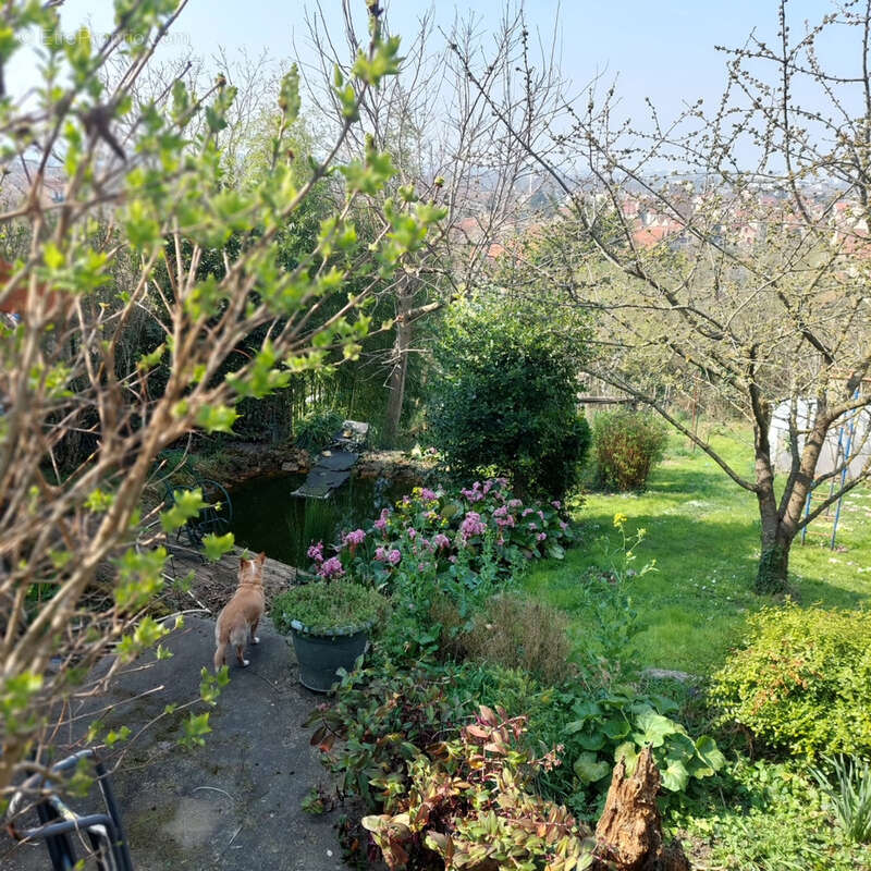 Maison à VILLENEUVE-SAINT-GEORGES