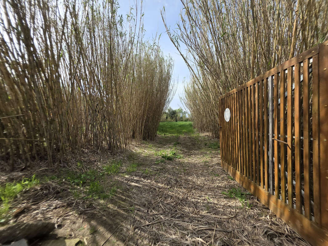 Terrain à VILLELONGUE-DE-LA-SALANQUE