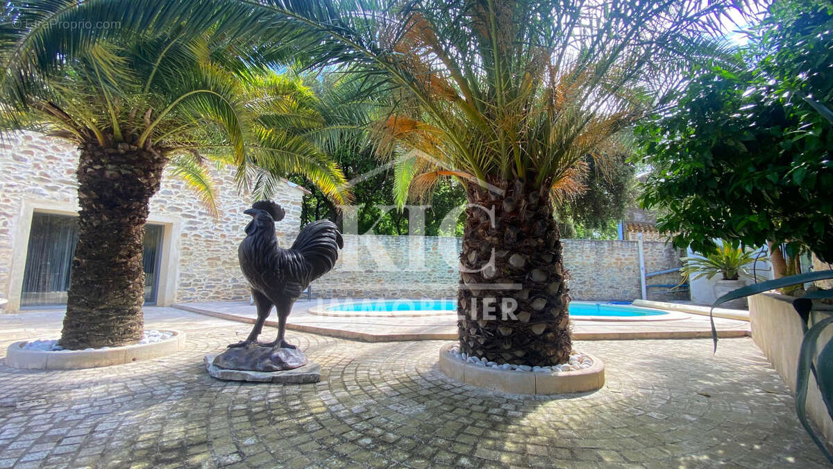 Maison à CARCASSONNE