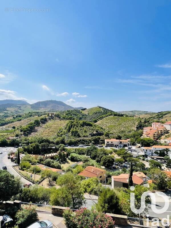 Photo 1 - Appartement à BANYULS-SUR-MER