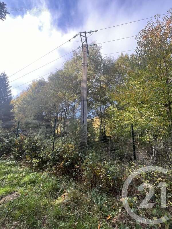 Terrain à BURDIGNES