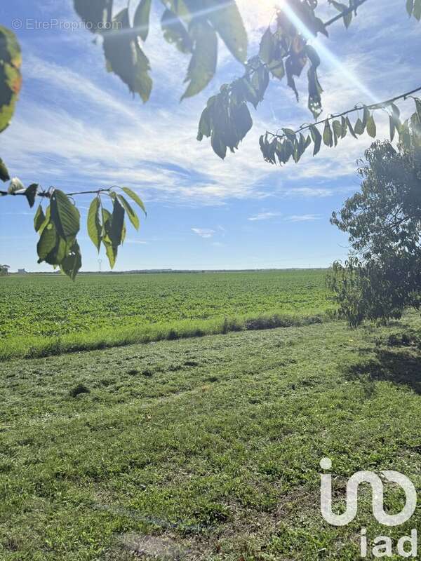 Photo 8 - Maison à SAINT-OUEN-D&#039;AUNIS
