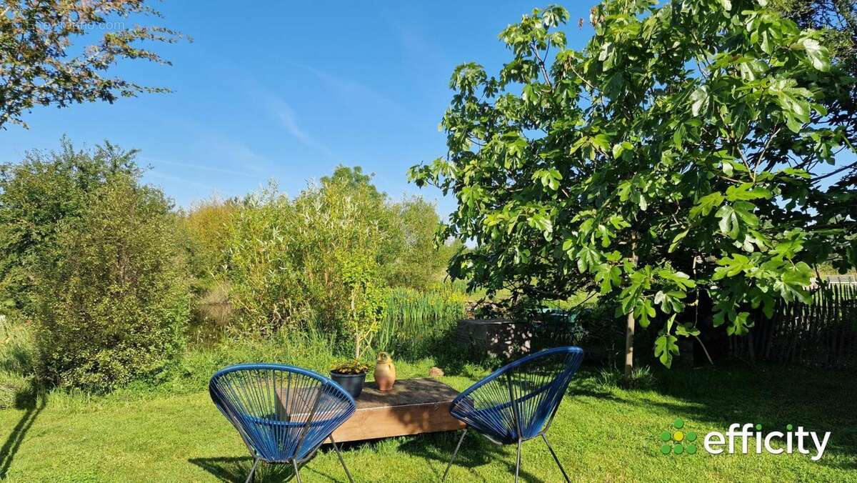 Maison à ROCHEFORT-SUR-LOIRE