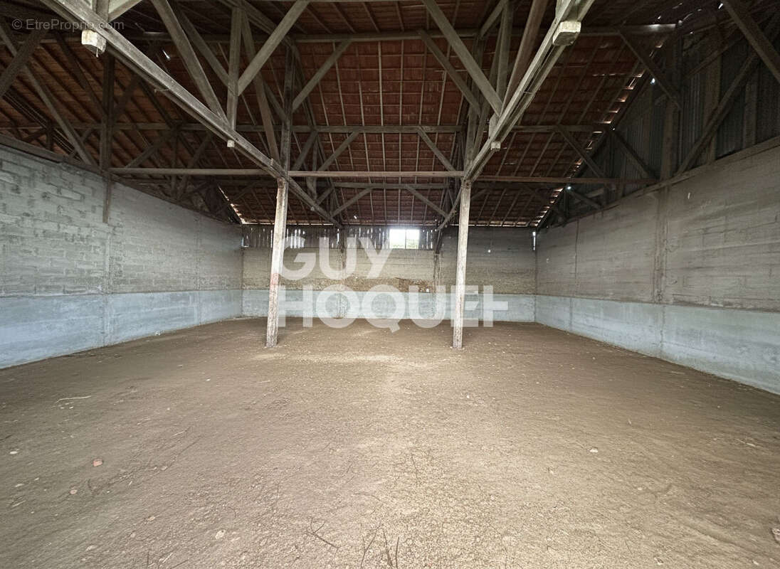 Parking à ARS-EN-RE