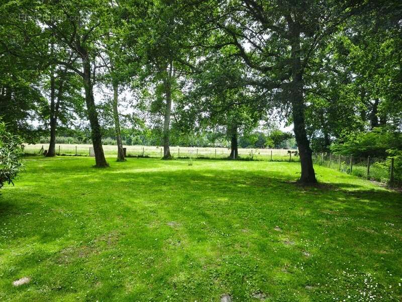 Maison à CREON-D&#039;ARMAGNAC