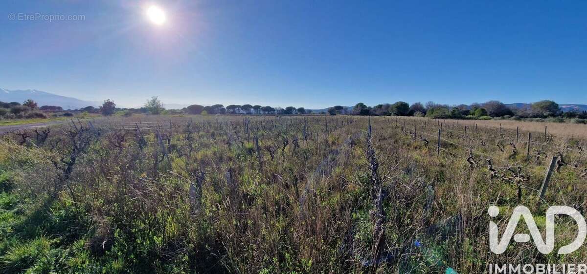 Photo 3 - Terrain à PEYRESTORTES