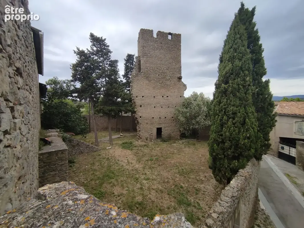 Domaine viticole historique   minervois - photo 1