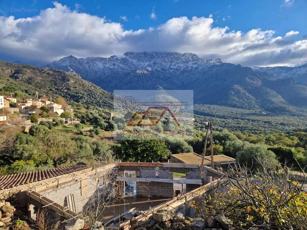 Maison à MONTEGROSSO