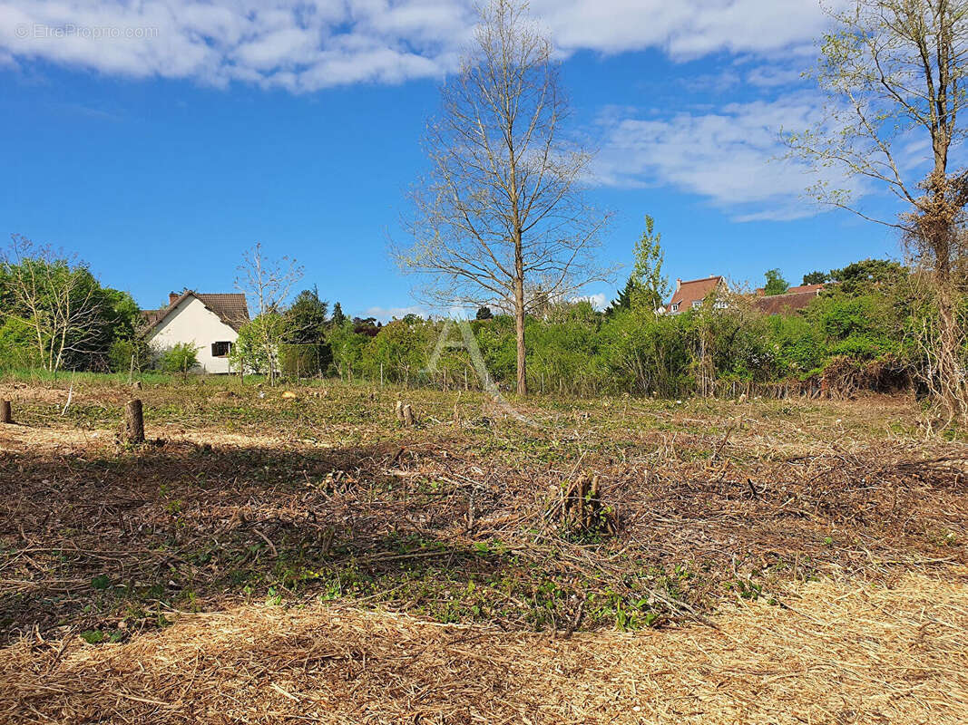 Terrain à SAINT-AIGNAN