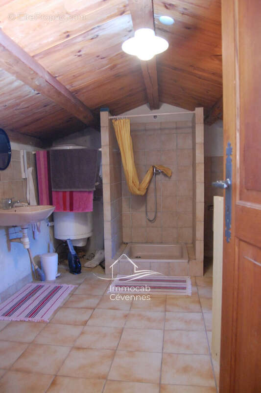 Maison à LE COLLET-DE-DEZE