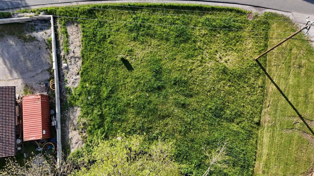 Terrain à THOLLON-LES-MEMISES