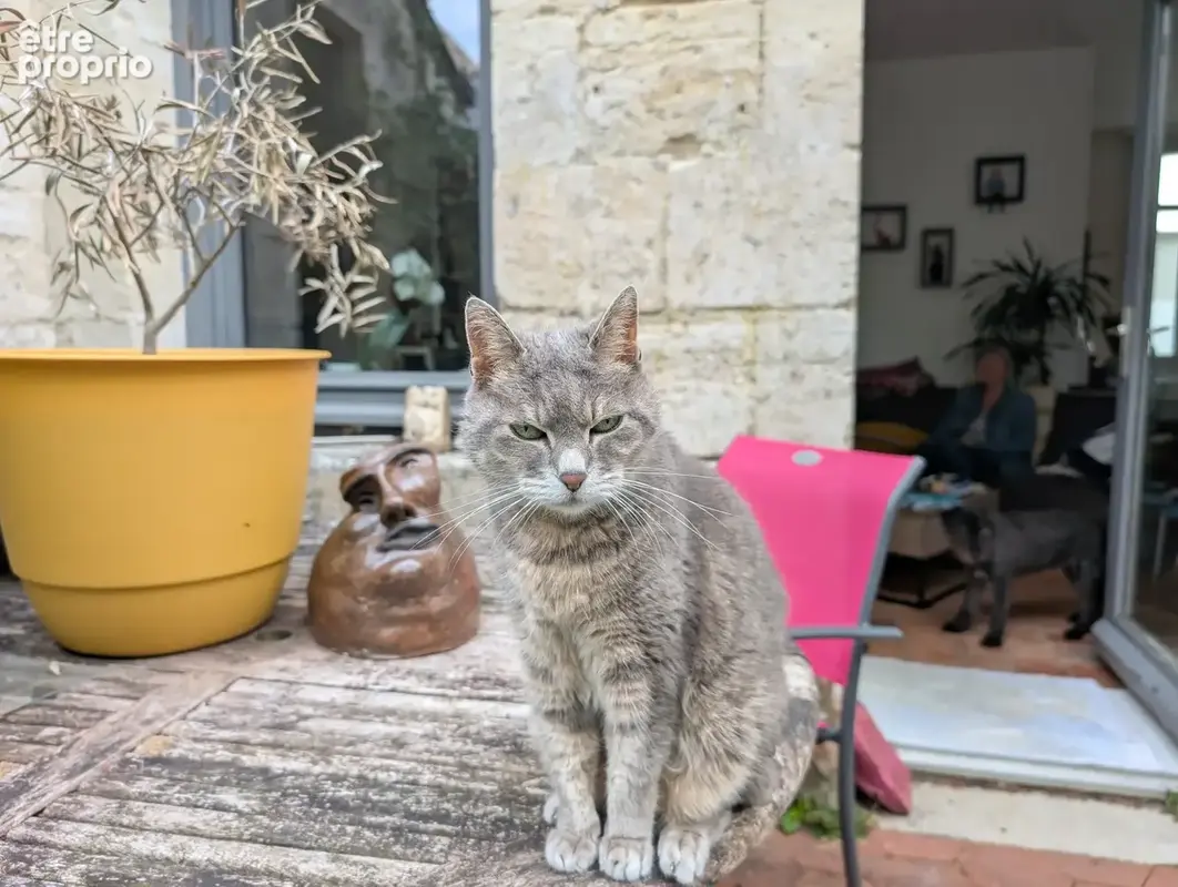 Maison 125 m² à Vannes  - photo 2