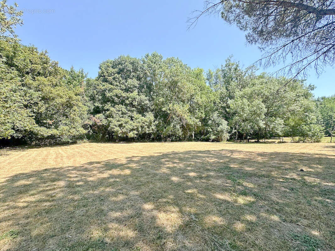 CASTELMAUROU, terrain viabilisé de 1 651 m2 - photo 2