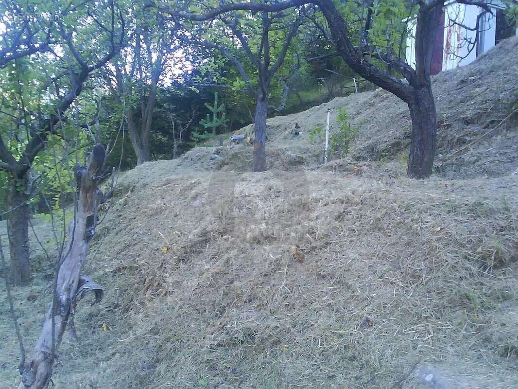 Appartement à LA BRIGUE