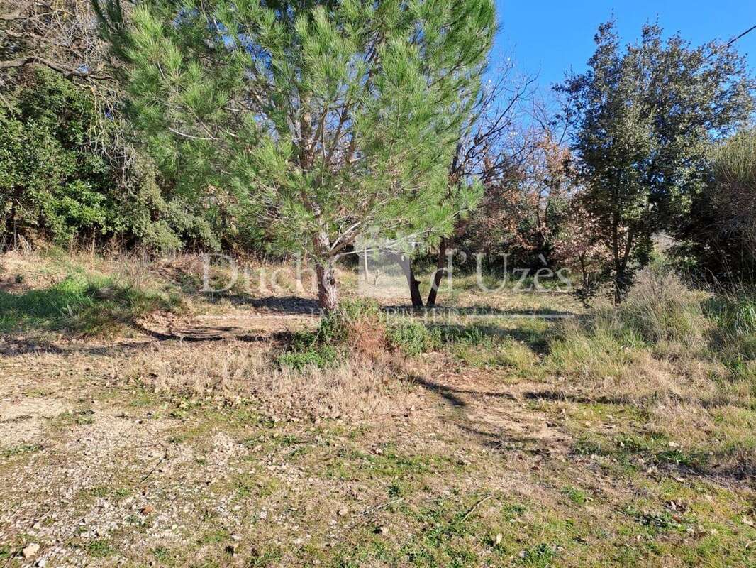 Photo 2 - Terrain à UZES