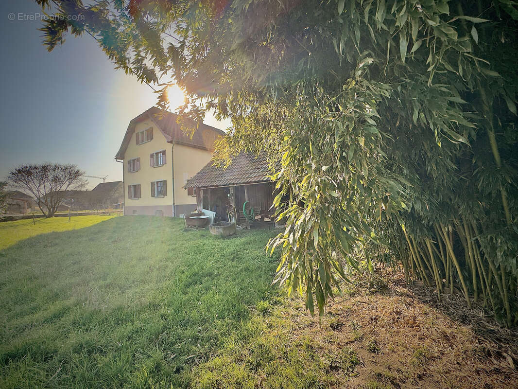 Maison à RICHTOLSHEIM