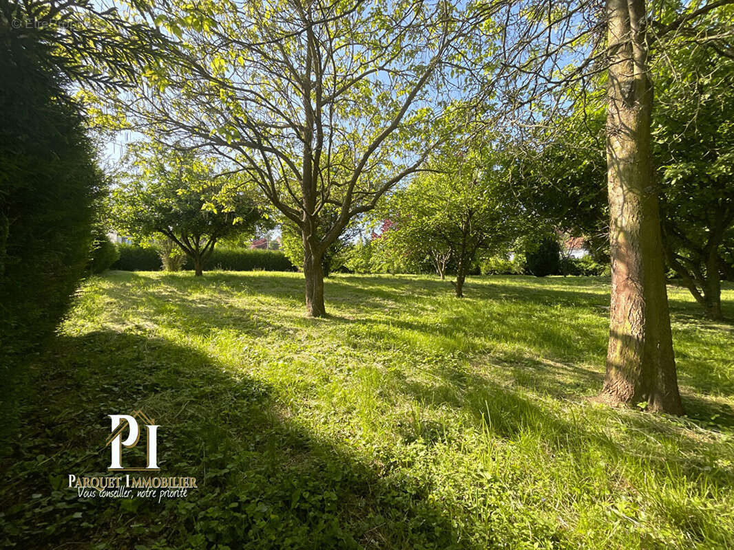 Terrain constructible à 5 km d'Albert ! - photo 4