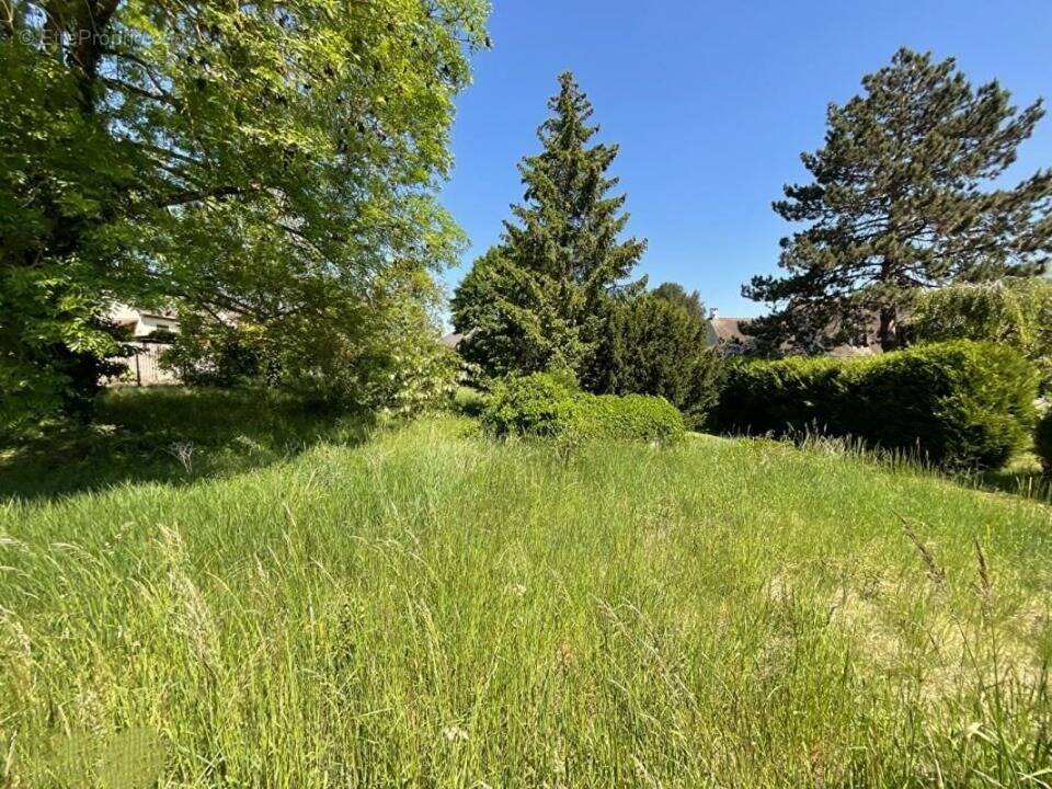 Terrain à MAURECOURT