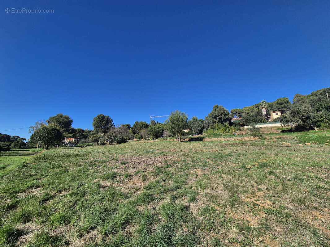 Terrain à LE PRADET