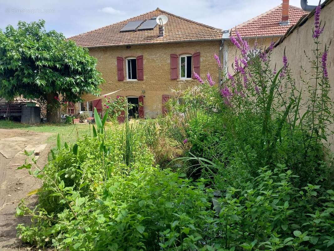 Maison à SAMATAN